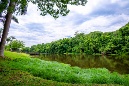 View of Botanical garden in Goiania, Brazilの写真素材