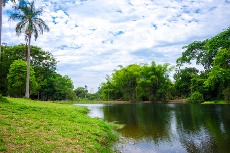 View of Botanical garden in Goiania, Brazilの写真素材