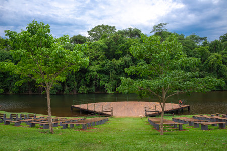 View of Botanical garden in Goiania, Brazilの写真素材