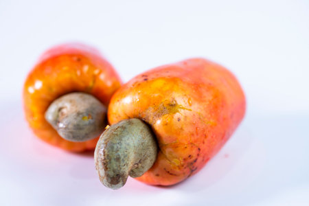 Fresh cashew nut isolated on white background.の写真素材