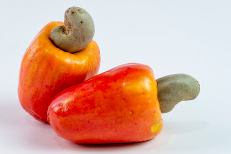 fresh cashew fruit on white backgroundの写真素材