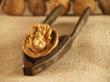 Walnut cracked and his fellows waiting  