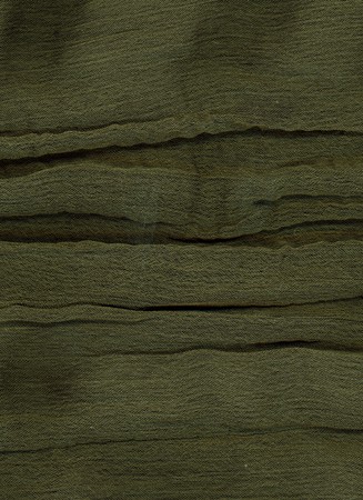 Fragment of grass green  accordion pleats        の写真素材
