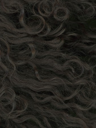 Close up of fur coatの写真素材