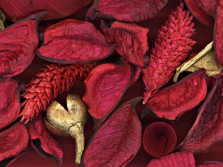 Close-up of red and golden leafs, petals and  cones        の写真素材