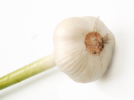 Single young garlic head against white backgroundの写真素材
