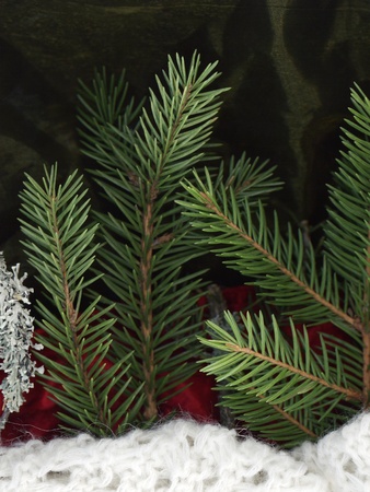 Spruce still life with white knitted red silk backgroundの写真素材