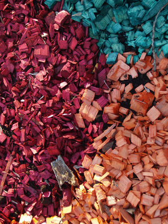 pattern of yellow, red and greeny blue  wood chipsの写真素材