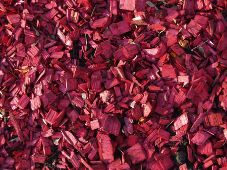 pattern of red   wood chipsの写真素材