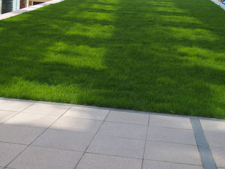Green bright grass and pavement with shadows and sunlight spotsの写真素材