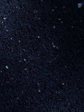 Small tiny  nice petals on new asphaltの写真素材