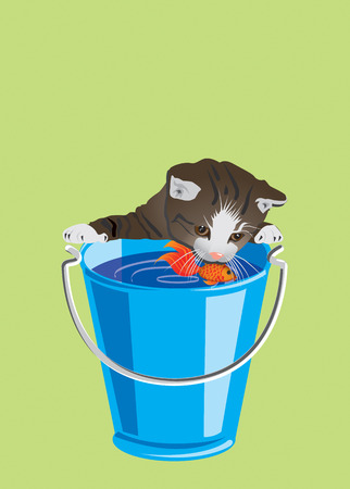 Kitten looking at a goldfish in a dip-bucketのイラスト素材