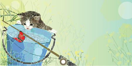 Kitten looking at a butterfly on a dip-bucketのイラスト素材