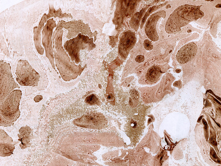 Water monotyping on paper scanned bacground