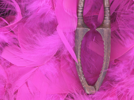 Rusty old iron objects against pink feather backgroundの写真素材