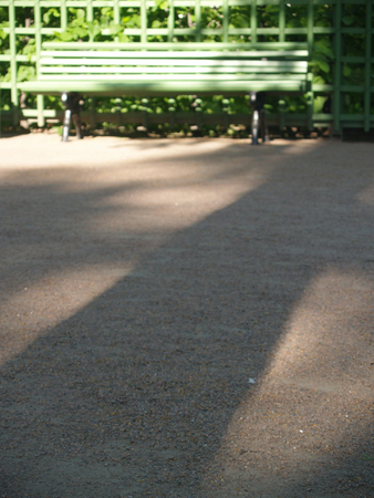 Green bench in summer parkの写真素材