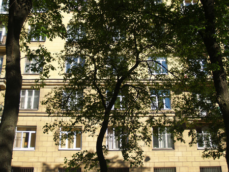 Urban view of a building through treesの写真素材