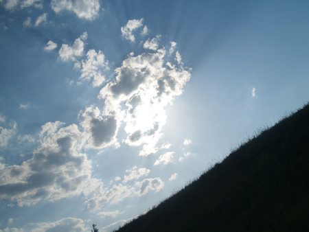 Cloudy sky over treesの写真素材