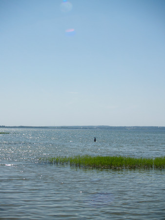 Grass island in a water of the lakeの写真素材