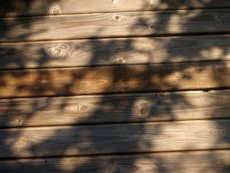 The weathered wooden planks background with tree shadowの写真素材