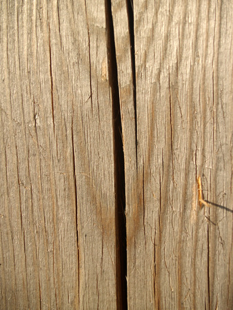 The beautiful wooden planks backgroundの写真素材