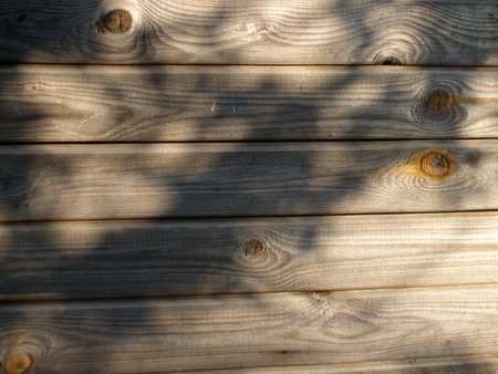 The weathered wooden planks background with tree shadowの写真素材