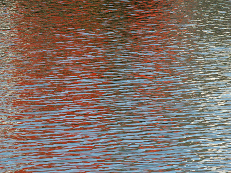 Red reflections in a water of the pondの写真素材