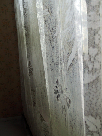 floral indoor abstract composition with white draperyの写真素材