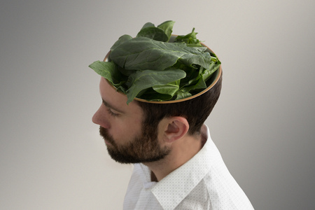 Spinaches inside a man's head.の写真素材
