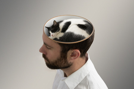 Sleepy cat inside a man's head.の写真素材