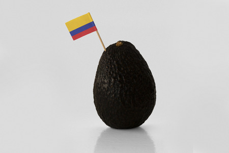Isolated avocado with Colombian flag.の写真素材
