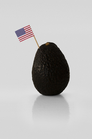 Isolated avocado with USA flag.の写真素材
