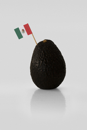 Isolated avocado with Mexican flag.の写真素材