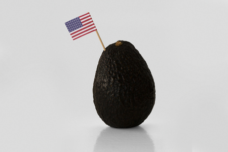 Isolated avocado with USA flag.の写真素材