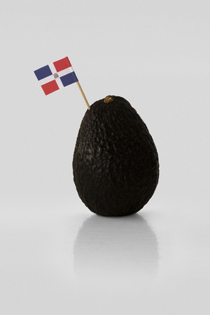 Isolated avocado with Dominican Republic flag.の写真素材