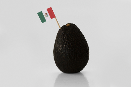 Isolated avocado with Mexican flag.の写真素材