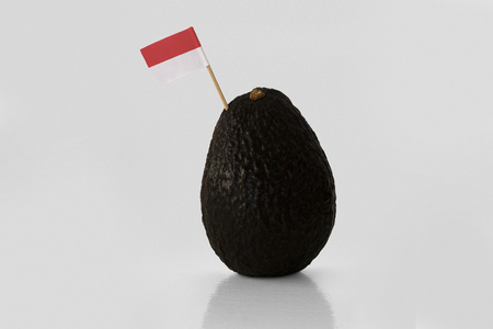 Isolated avocado with Indonesian flag.の写真素材