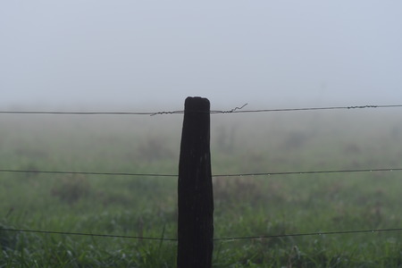 fence with fogの写真素材