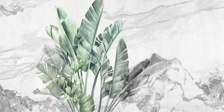 Big banana leaves. Grunge photo wallpaper on marble background. Illustration for wallpaper, fresco, mural.の写真素材