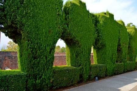 The Alhambra a Moorish citadel and palace is in Granada. It is the most renowned building of the Andalusian Islamic historical legacy with its many cultural attractions that make Granada a popular destination among the touristic cities of Spain.の写真素材