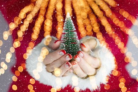 Woman with beautiful red and gold nails with golden snowflakes holding a tree coniferous with snow cover. She has white gloves without fingers.の写真素材