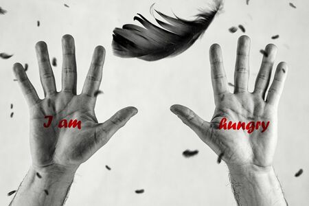 Male hands with red lettering `I am`` hungry`reach for black bird feather. Symbol of Humanitarian...