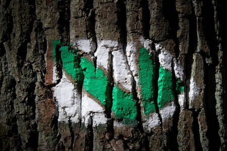 Hiking sign on a tree trunk. A sign that lines a hiking trail.Green tourist sign. Signs that...