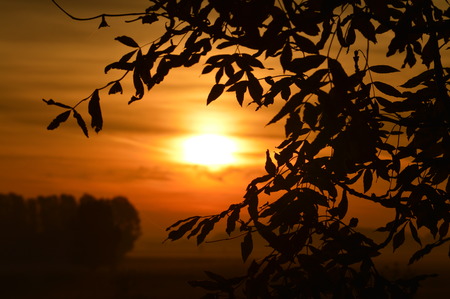 Sunrise sceneryの写真素材