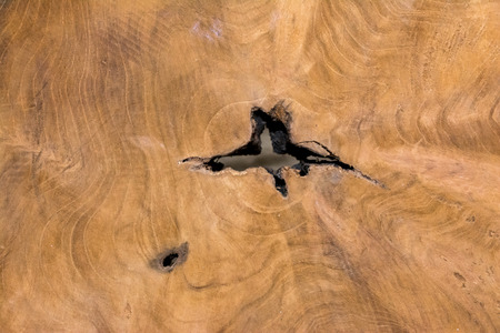 Natural Wooden Table, can be used as backgroundの写真素材