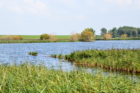 River in the Netherlandsの写真素材