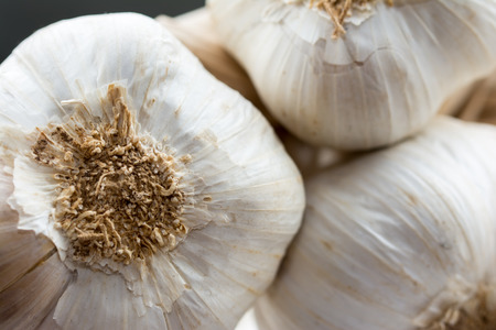 Garlicの写真素材