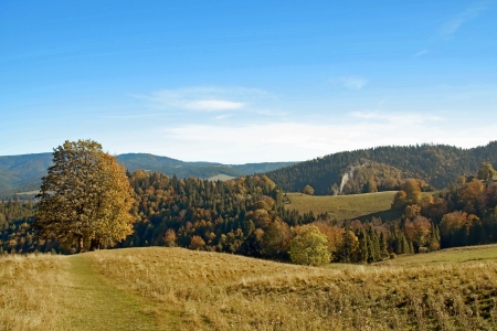 Sunny autumn in the mountainsの写真素材