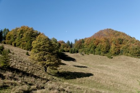 Sunny autumn in the mountainsの写真素材