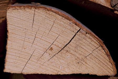 Single log of wood close upの写真素材